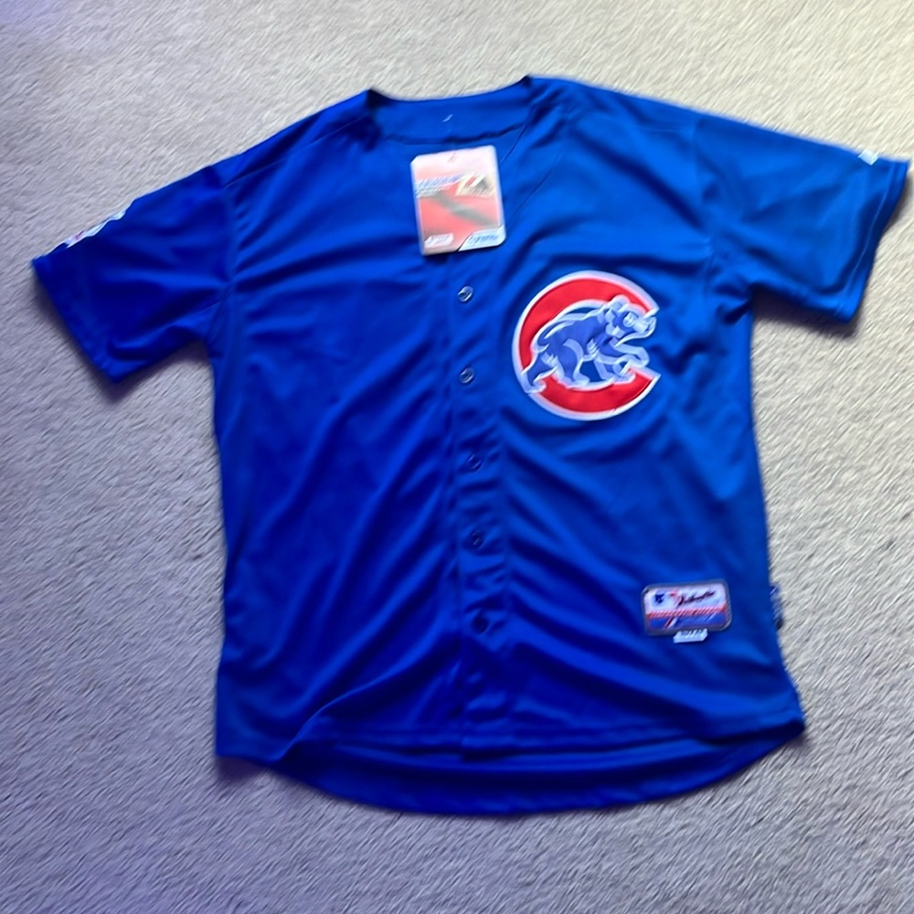 Vintage Anthony Rizzo cubs jersey, Brand new with tags.